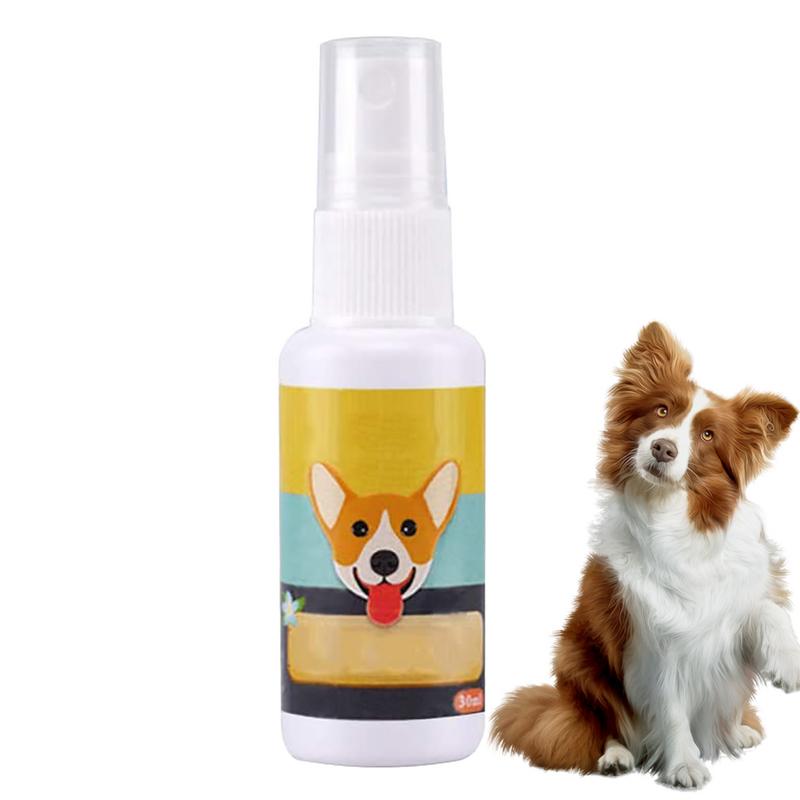 Travel Accessories For Train - Portátil Dog Potty Training Aid, Pet