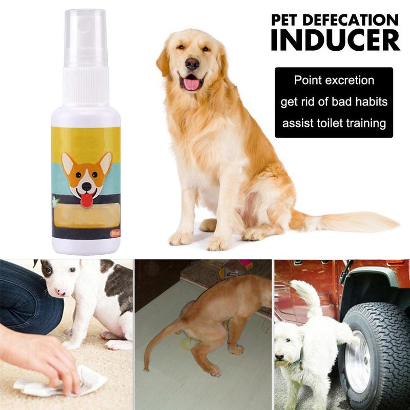 Portátil Dog Potty Training Ai - Travel Accessories For Train avaliação e preço