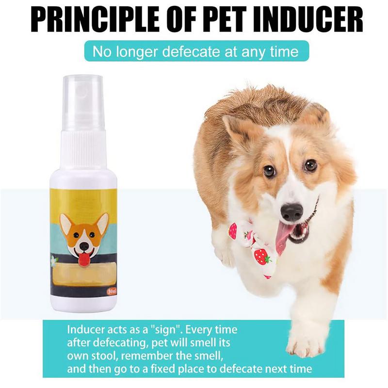 Portátil Dog Potty Training Ai - Travel Accessories For Train avaliação e preço